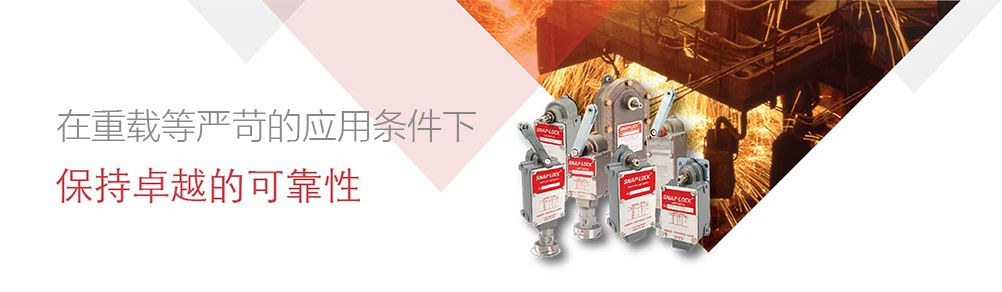 Odoo • 文字和图像